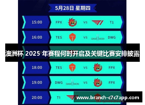 澳洲杯 2025 年赛程何时开启及关键比赛安排披露 澳洲杯 2025 年赛程何时开启及关键比赛安排披露