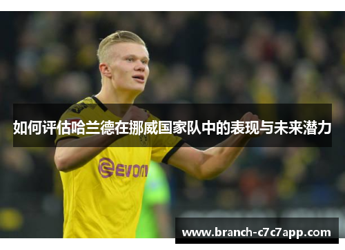 如何评估哈兰德在挪威国家队中的表现与未来潜力 如何评估哈兰德在挪威国家队中的表现与未来潜力