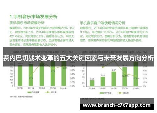费内巴切战术变革的五大关键因素与未来发展方向分析