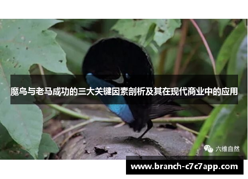 魔鸟与老马成功的三大关键因素剖析及其在现代商业中的应用